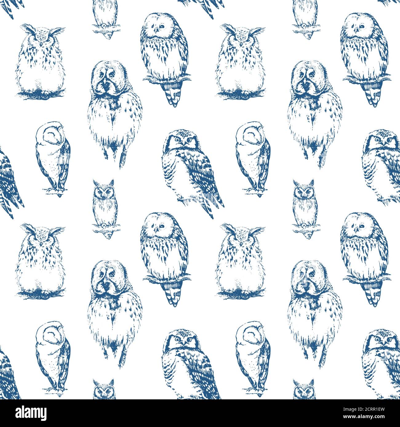 Eulen Nahtloses Muster. Vektorhintergrund. Stock Vektor