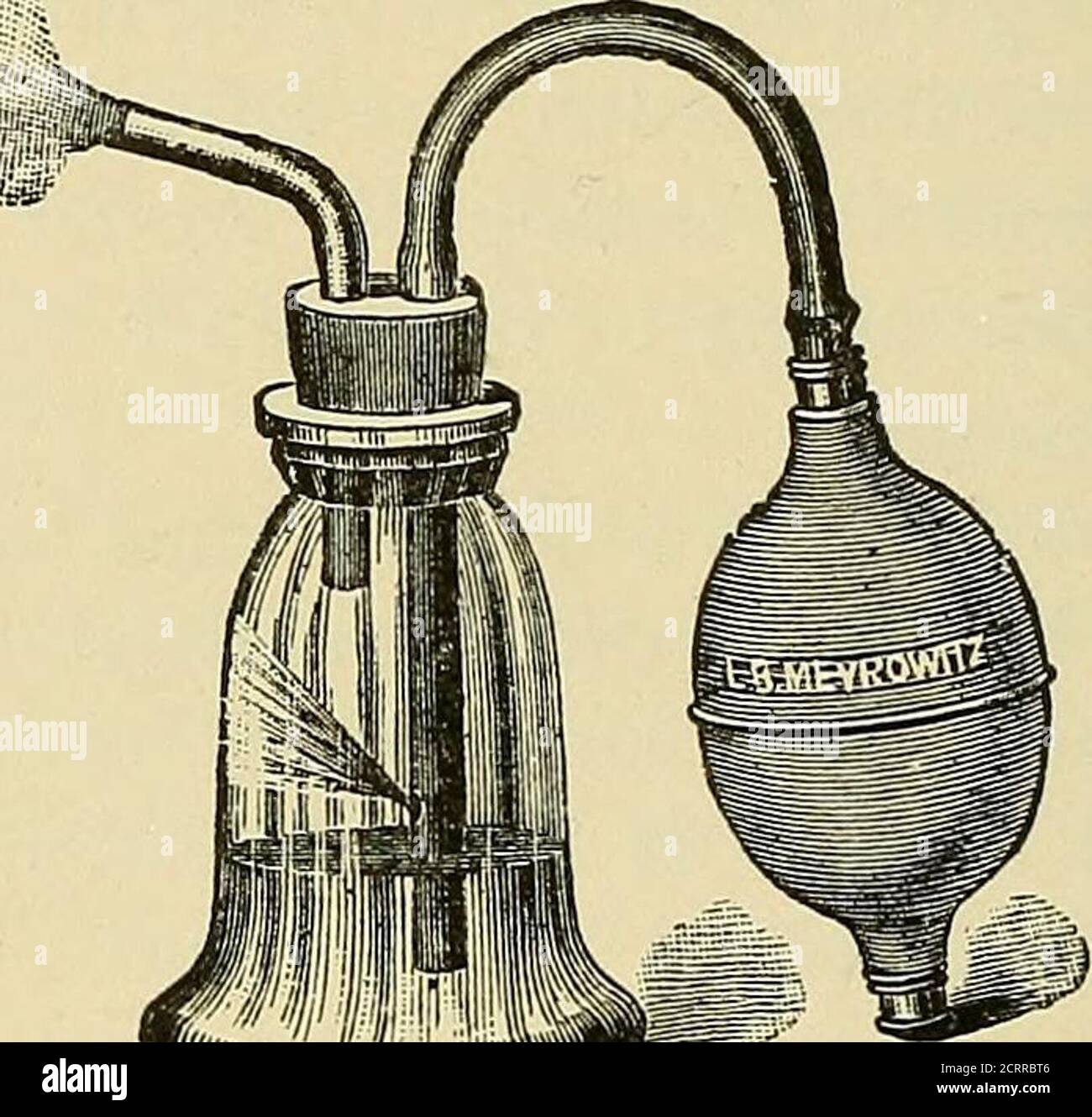 . Erkrankungen der Nase und des Rachens . ph 67 Albolene 30 2. 3 Thymol 067 Menthol 35 01. Anisi 67 Albolene 30 1. f^ Menthol gr. v. 01. Caryoph mx. Albolene §j. M. 2. 5 Thymol gr. j. Menthol gr- v. 01. Anisi mx. Albolene Bj. M. 382 KRANKHEITEN DES LAKYNX. Für eine feinere Zerstäubung des Rachens können stärkere Lösungen entweder mit dem Vernebler oder dem Brennraum verwendet werden. Der Americannebulizer ist gut für den häuslichen Gebrauch durch den Patienten geeignet. Wie in Abb. 119 zu sehen ist, werden die schwereren Ölkugeln gegen die Wand der Flasche geworfen und fließen zurück in die Flüssigkeit, während nur die dampfenden Partikel aussen Stockfoto