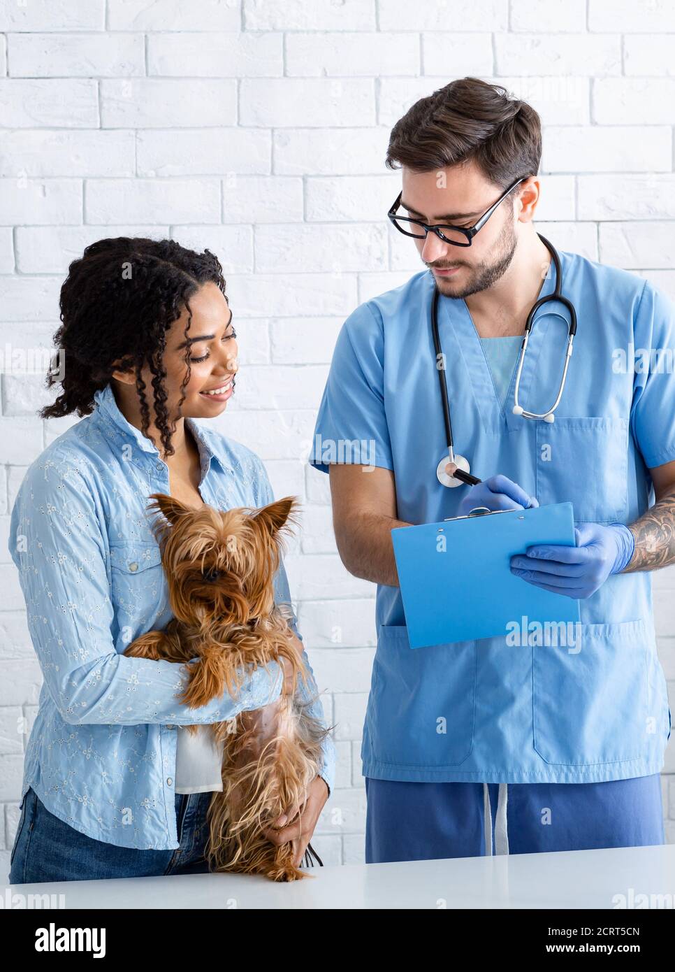 Afroamerikanische Dame mit niedlichen Hund auf Besuch zum Tierarzt Arzt in der Klinik Stockfoto
