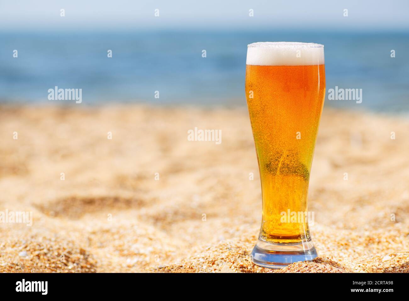Glas Bier mit Schaum und Blasen Stockfoto