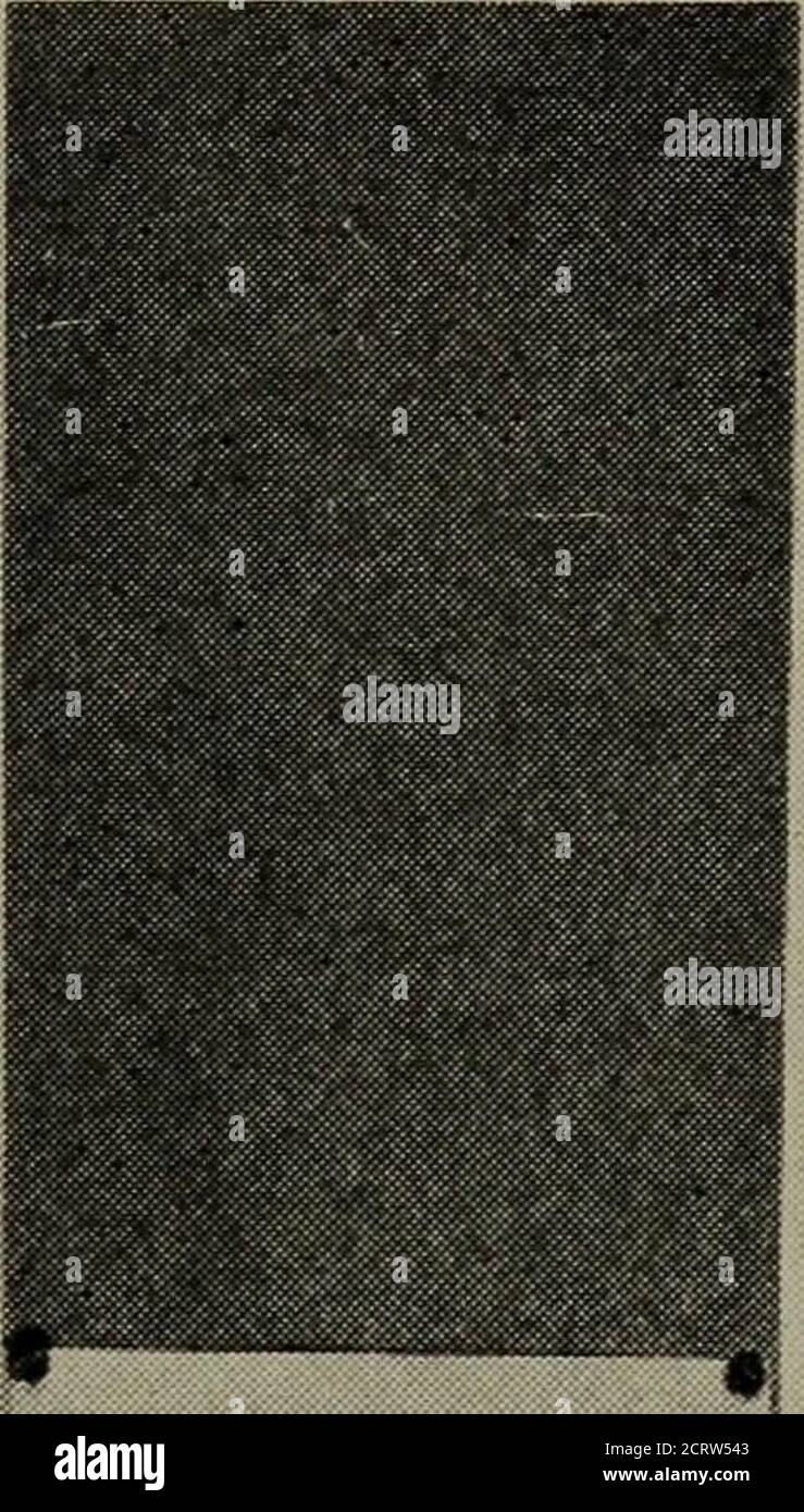 . Eisenbahnbau, Theorie und Praxis; ein Lehrbuch für die Verwendung von Studenten in Hochschulen und technischen Schulen. Stockfoto