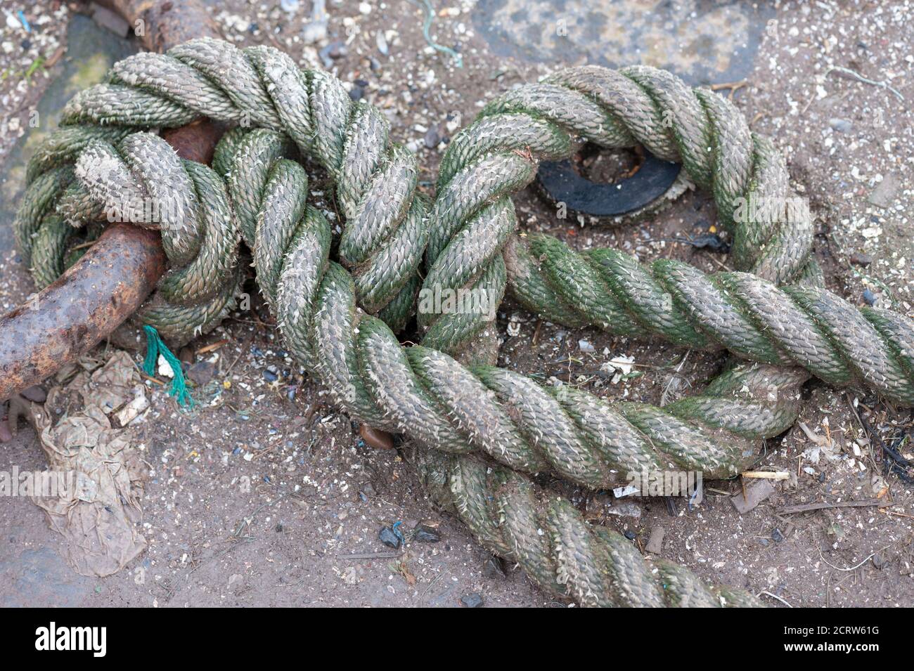 Verknotete Seil in einem funktionierenden Hafen, Dunbar, Schottland. Stockfoto