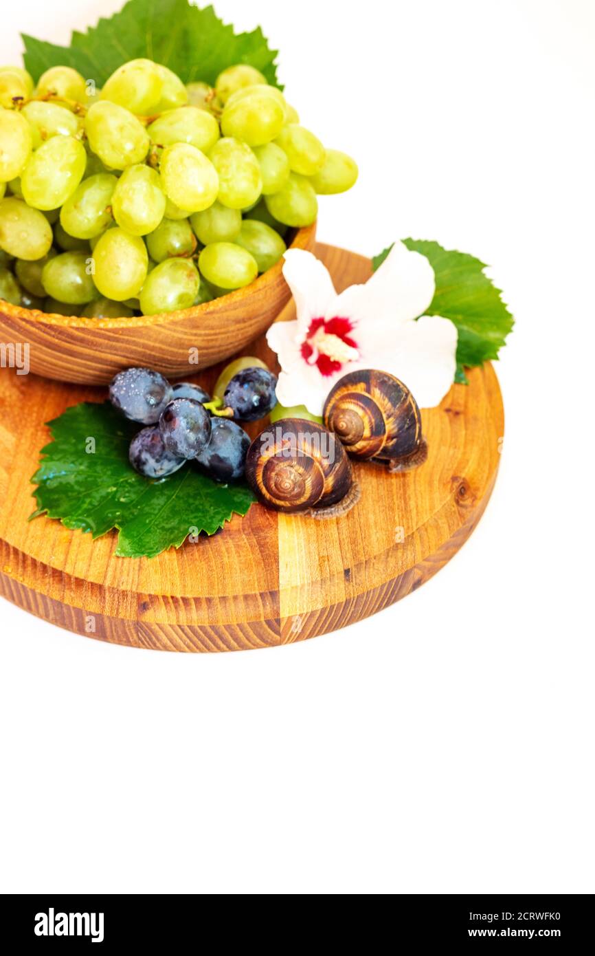 Eine Schnecke und ein Traubenbündel mit Hibiskusfarbe auf einem Holzbrett. Weißer Hintergrund. Stockfoto