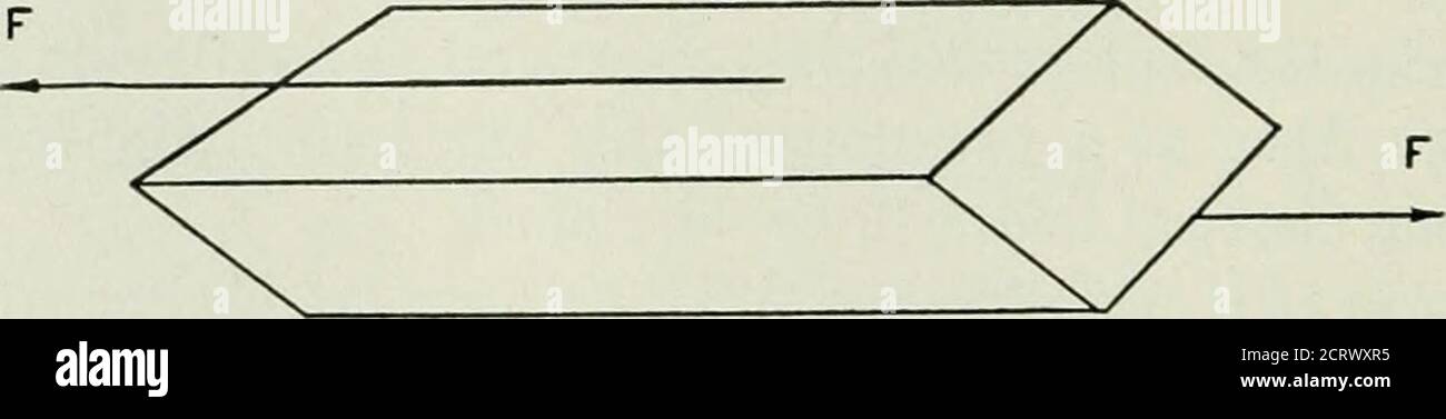 . Das Bell System technische Journal . gemäß der Formel / = m-A ist die zweite Beziehung, die wir brauchen werden, Hookes Gesetz in Bezug auf die Belastungen in einem Körper auf die Belastungen. Wenn Kräfte auf die Enden eines langen schlanken Stabes aus einem elastischen Material wie Stahl (Abb. 7.1) eine gewisse Dehnung findet statt. Wenn die Kräfte nicht zu groß sind, wird ein lineares 151 152 GLOCKENSYSTEM TECHNISCHES JOURNAL Verhältnis zwischen der angewandten Spannung und der folgenden Belastung gefunden, um zu existieren. Ausgedrückt als Gleichung – = £ wobei XX die Kraft pro Flächeneinheit, XX die Dehnung pro Längeneinheit und -E ist Stockfoto