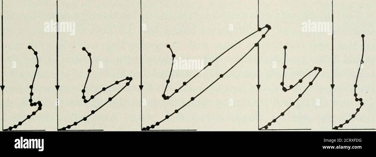 . Die Bell System technische Zeitschrift . Oazimuth Abb. 1 – Schematisches Diagramm, das die Disposition des Primärstrahls, des Nickelkristallaland-Kollektors zeigt. Der gezeigte Kristall drehte sich, um einen Hauptazimuth nach Anotherin die Beobachtungsebene zu bringen. Nachbarn konnten auf einem Bogen um den Kristall bewegt werden. Der Kristall selbst konnte um die Achse des einfallenden Strahls gedreht werden. Es war also möglich, die Intensität der elastischen Streuung in jede Richtung vor der Kristallwand zu messen, mit Ausnahme der Direktionen, die innerhalb von 10 oder 15 Grad des Primärstrahls liegen. 54 V. 64 V 68 V. ABB. 2 – Polardiagra Stockfoto