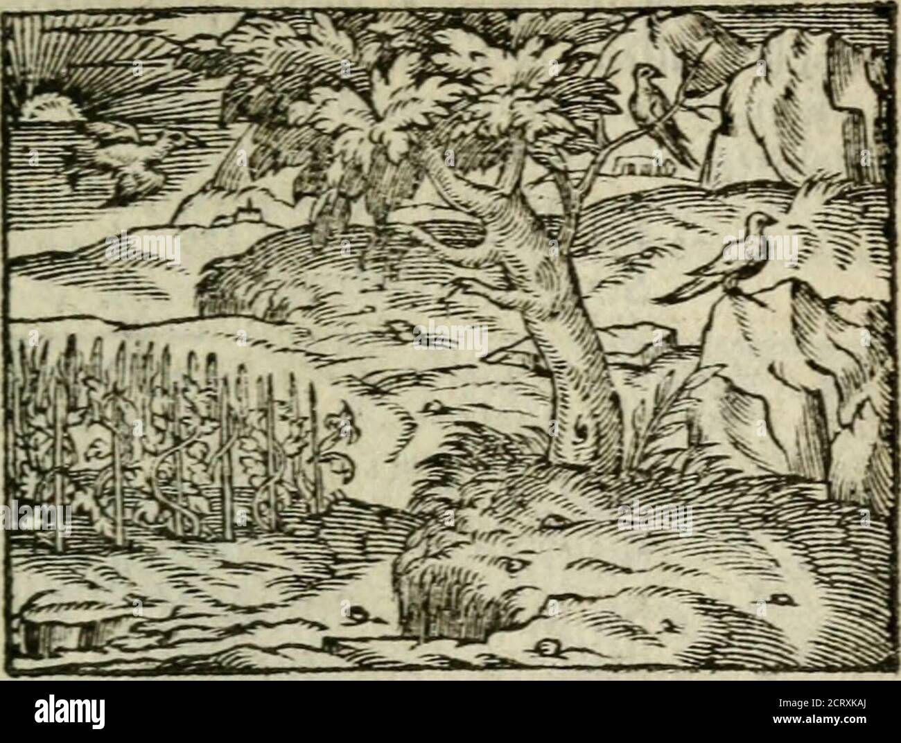 Emblemes D Alciat En Latin Et Francois Vers Povr Vers A Lc J A Natyra In Quatuor Tempora Anni 145 Adtiemjfe Hyememfringtua Renunciat Aies Ai Nos Y Ere Nouo Garrnla Hiruudo R Dit Indicat Emblemes D Alciat En Latin Et Francois Vers Povr Vers A Lc J A Natyra In Quatuor Tempora Anni 145 Adtiemjfe Hyememfringtua Renunciat Aies Ai Nos Y Ere Nouo Garrnla Hiruudo R Dit Indicat