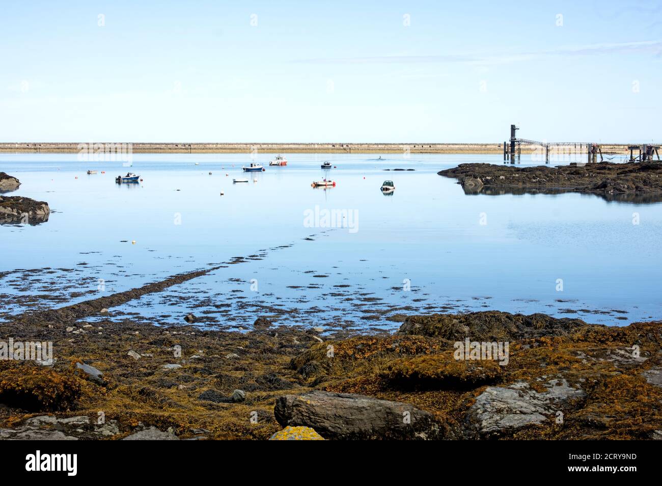 Der neue Hafen wurde in der zweiten Hälfte des geschaffen 19. Jahrhundert durch das Gebäude der Britains längste Wellenbrecher Stockfoto