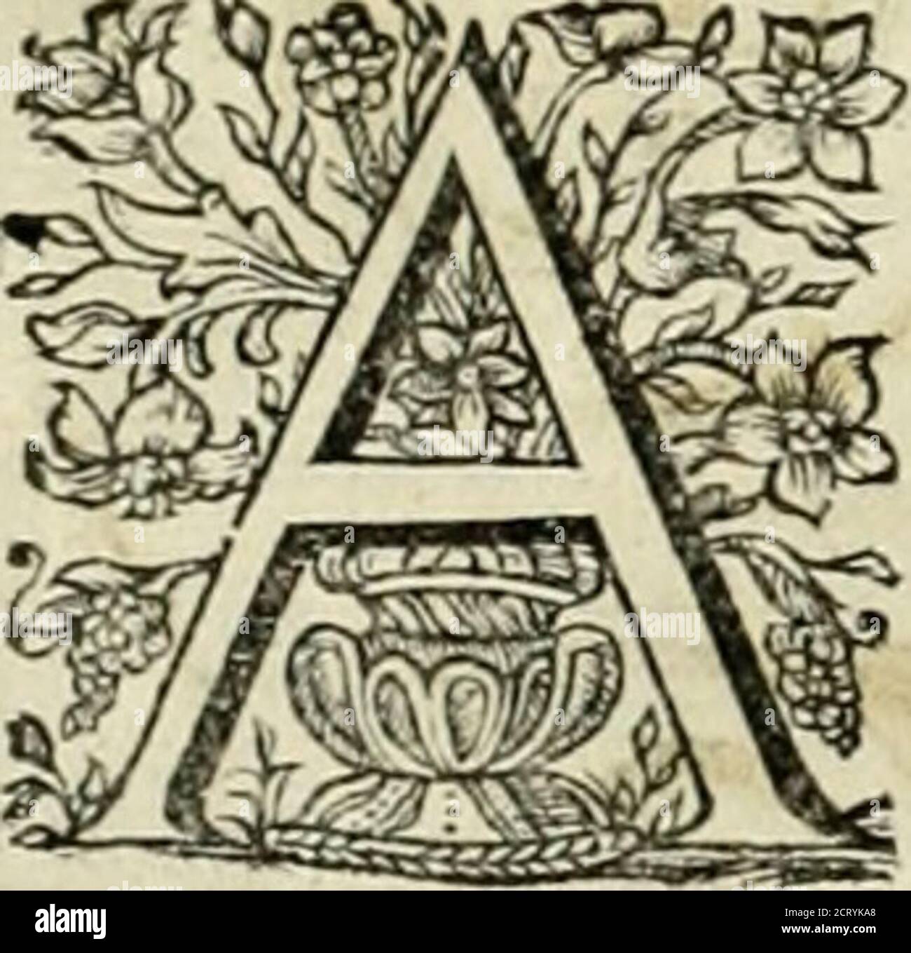 . Innocentia vindicata : in qua gravissimis argumentis ex S. Thoma petitis ostenditur, angelicum doctorem pro Immaculato Conceptu Deiparae sensisse & scripsisse ... . M km von kkk WMT m Palma fordium impatiens,Radix fanda, Rbores aetera , fmo circa radices iaBo , Utius proveniuni.Palma tantum fordes a^verfatur 5 imb Jlerilefcit Utamin ajjjer-fo. Fimo lardi purant,^/; Plinius lib.13. Cap.4. C^ideobrocul lutOy iuxtaci limbidijjimos fontes plantari amat, Tantoproventu-y ut Mgyptij ex una Palma ^60. FruHtts, ^^•*4 ^^^merenty O* iob Anni hieroglyphicum fuit. NuUus Mortalium, cui non radices ex pecca Stockfoto