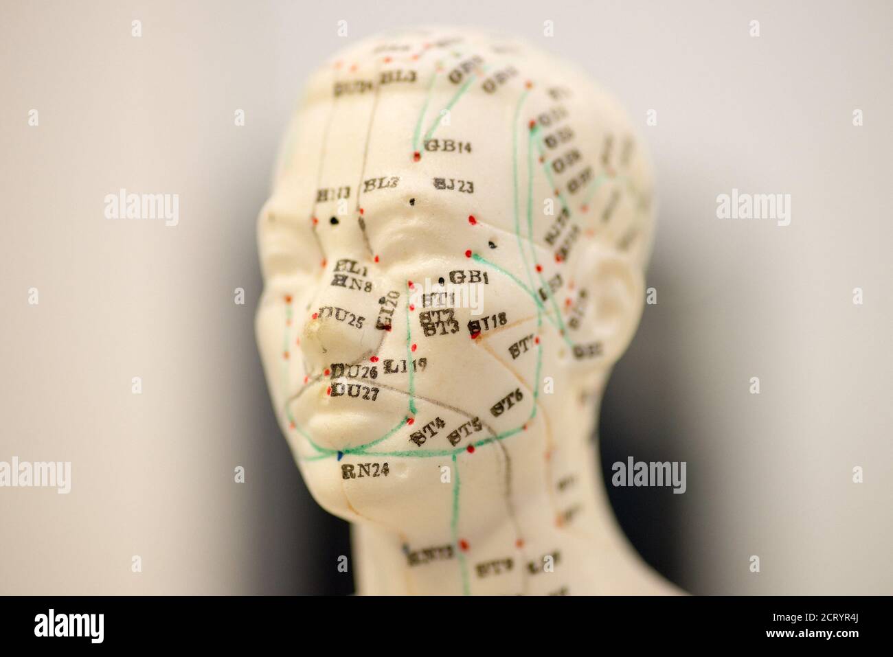 Puppenkopf mit Darstellung der Vitalpunkte Stockfoto