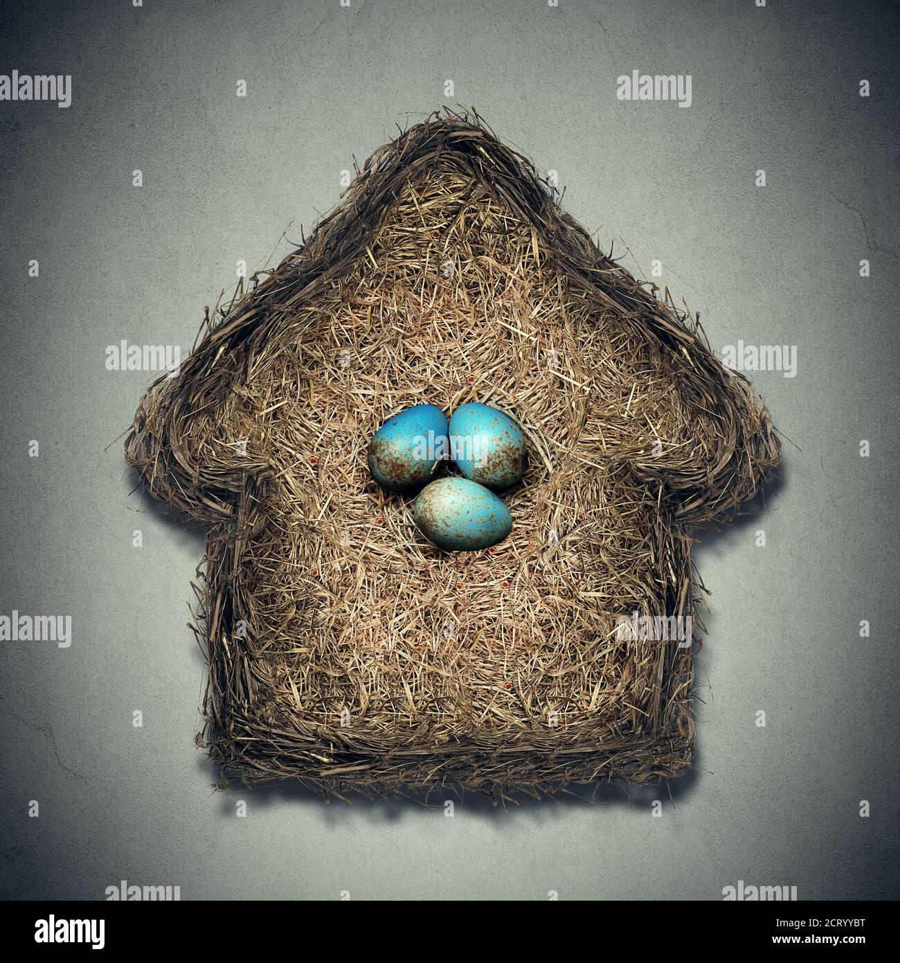 Nest mit Eiern in Form eines Pfeils wachsen Nach oben Stockfoto
