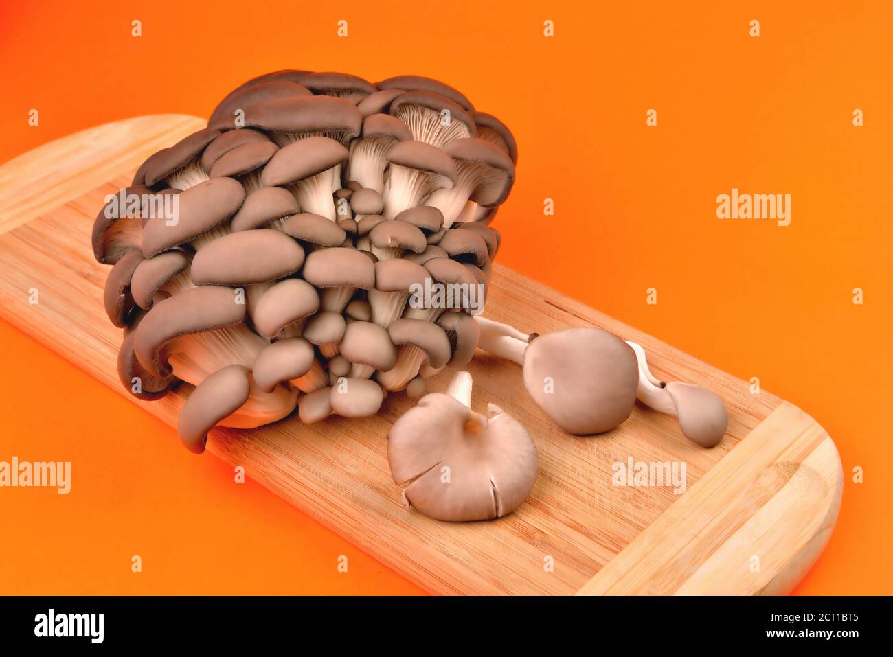 Essbare natürliche Austernpilze, Bambus Schneidebrett, auf orangefarbenem Hintergrund, Pilze zum Kochen und Gurken, Nahaufnahme und Kopierraum Stockfoto
