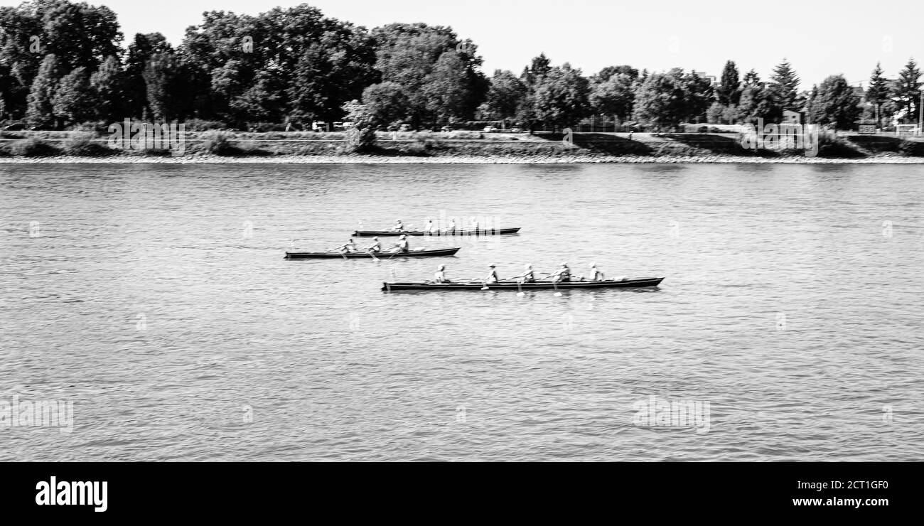 Ruderboote auf dem Rhein, verschwommene Bewegung Stockfoto