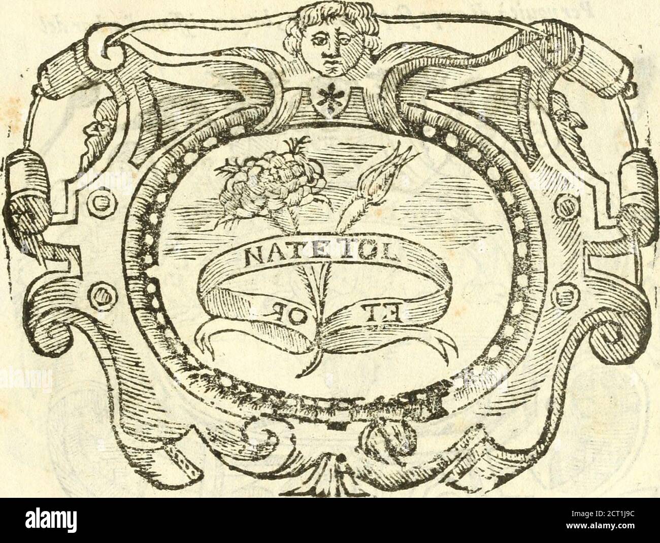 . Il zodiaco, over, idea di perfettione di prencipi : formata dall'heroiche virtù dell'illvstriss. Et eccellentiss. signore D. Antonio Alvarez di Toledo, duca d'Alba vicere di Napoli : rapresentata come in vn trionfo dal fidelissimo popolo napoletano : per Opera del dottore Francesco Antonio Scelacciauento suo : Nella pompositima Festa di San Gio. Battista, celebrata à 23. Di giugno 1629. Per il settimo anno del suo gouerno . &lt;^^. Felicimentefitto ilgoutno del Duca^JtfentiJfero ahco obli gai ì[opra ciò d^ejjaltiirloy cerne fecero Abbondcuolmente, ma racco-glii ìidonc alcure, quella d Stockfoto