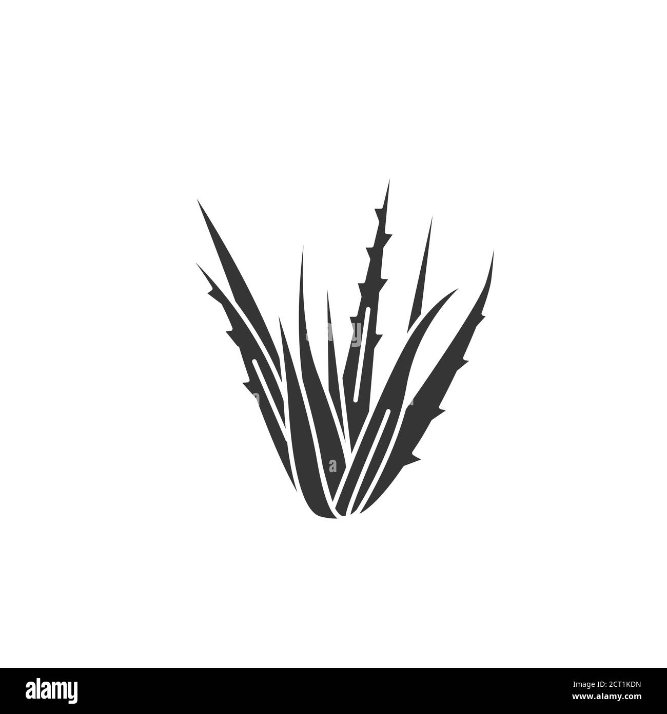 Aloe Pflanze schwarz Glyphe Symbol. Pflanze, die sowohl intern als auch extern auf Menschen als Volks- oder Alternativmedizin verwendet. Piktogramm für Webseite, mobil Stock Vektor