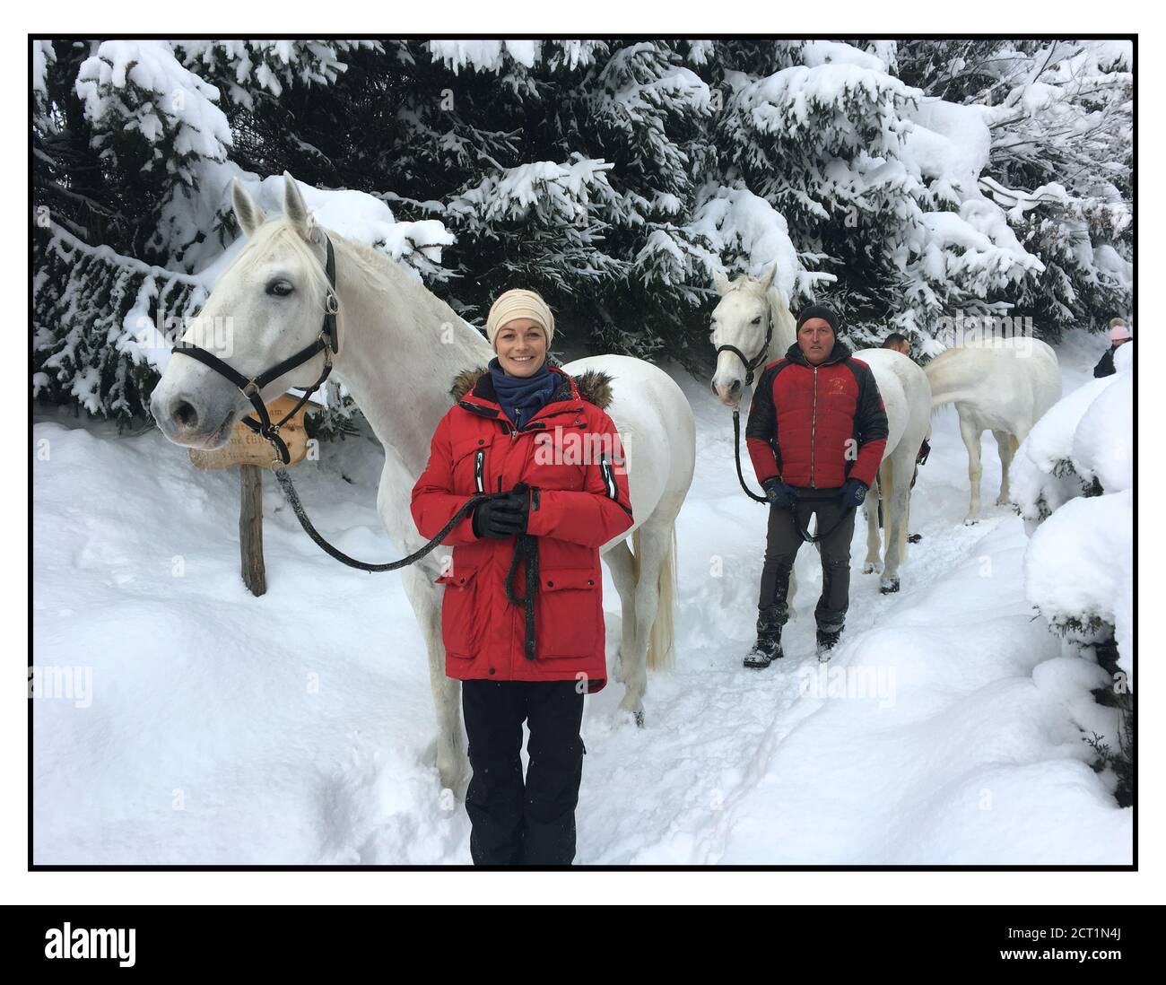 Die Lipizzaner Pferde des Stanglwirt Hotels in Going am Wilden Kaiser, Österreich. Stockfoto