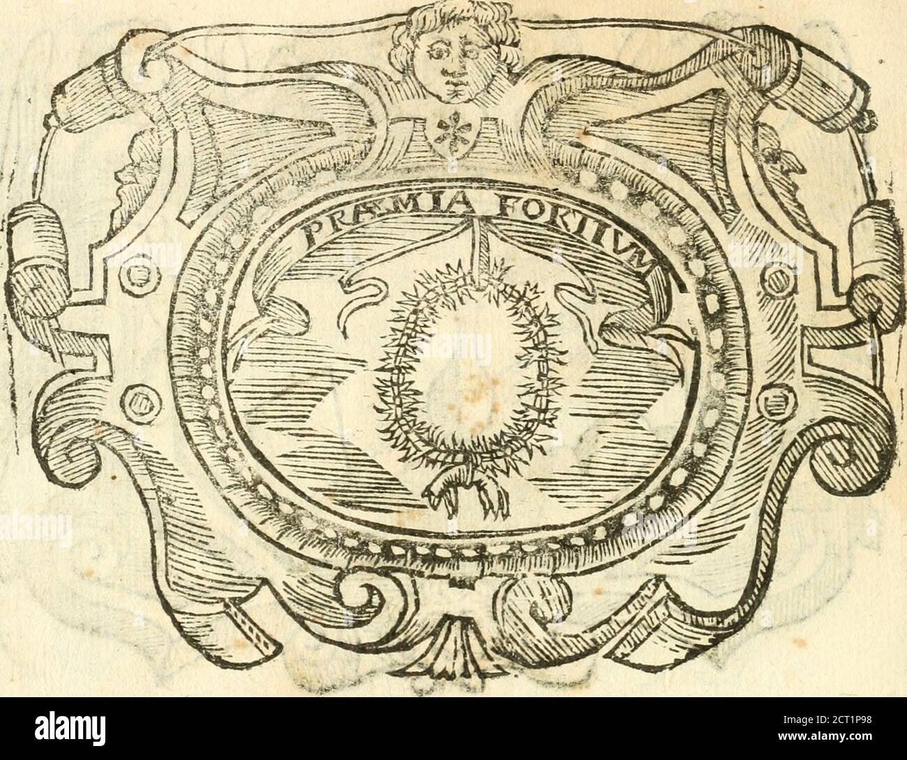 . Il zodiaco, over, idea di perfettione di prencipi : formata dall'heroiche virtù dell'illvstriss. Et eccellentiss. signore D. Antonio Alvarez di Toledo, duca d'Alba vicere di Napoli : rapresentata come in vn trionfo dal fidelissimo popolo napoletano : per Opera del dottore Francesco Antonio Scelacciauento suo : Nella pompositima Festa di San Gio. Battista, celebrata à 23. Di giugno 1629. Per il settimo anno del suo gouerno . Motto, Alba refiftuRT ;per efplicare, che qualunqueframettimen^toyper cagionar i attacco dellindignatione dì S^Maefid (chd Minifirt/upremiy € dpiùgiufii, òpiù innoce Stockfoto