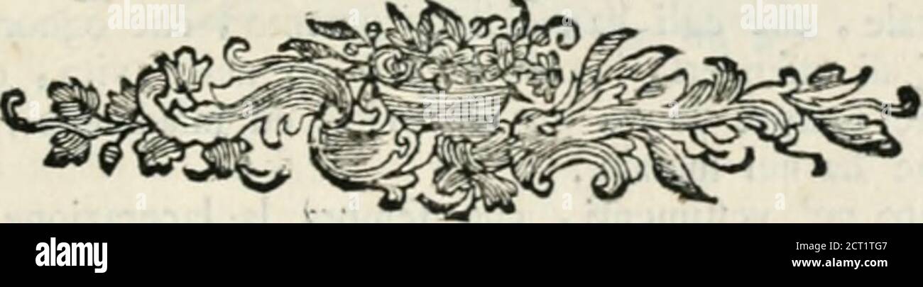 . Iconologia . ane gloriatur . Troverò. 20. E Davide pur dille : Vfqueqmpeccatores gloriabimtitr . Pfal. 93. v. 3. ♦ riguarda verlo il Palazzo, e la colonna , che fimboleggiano le fuperbegrandezze di quella vita : Vir vanus in fuperbiam crigitur , <& tamqnam p:d-lnm onagri fé liberum natum pumat . Auftrag. 12. Riguarda altresì il Palazzo , eia colonna, per le grandezze che trac-cia , ma polcia Fi trova collo ftettro in Terra sballato . Hejpexi/ìis ad ampline& ecce faclum e(l mhms , ed Ifaia : Oculi fublhnes bominis (umiliati Jsmt, <&incurvabitur alttudo jirorum . Ifa. 2. Lo ftettro della gl Stockfoto