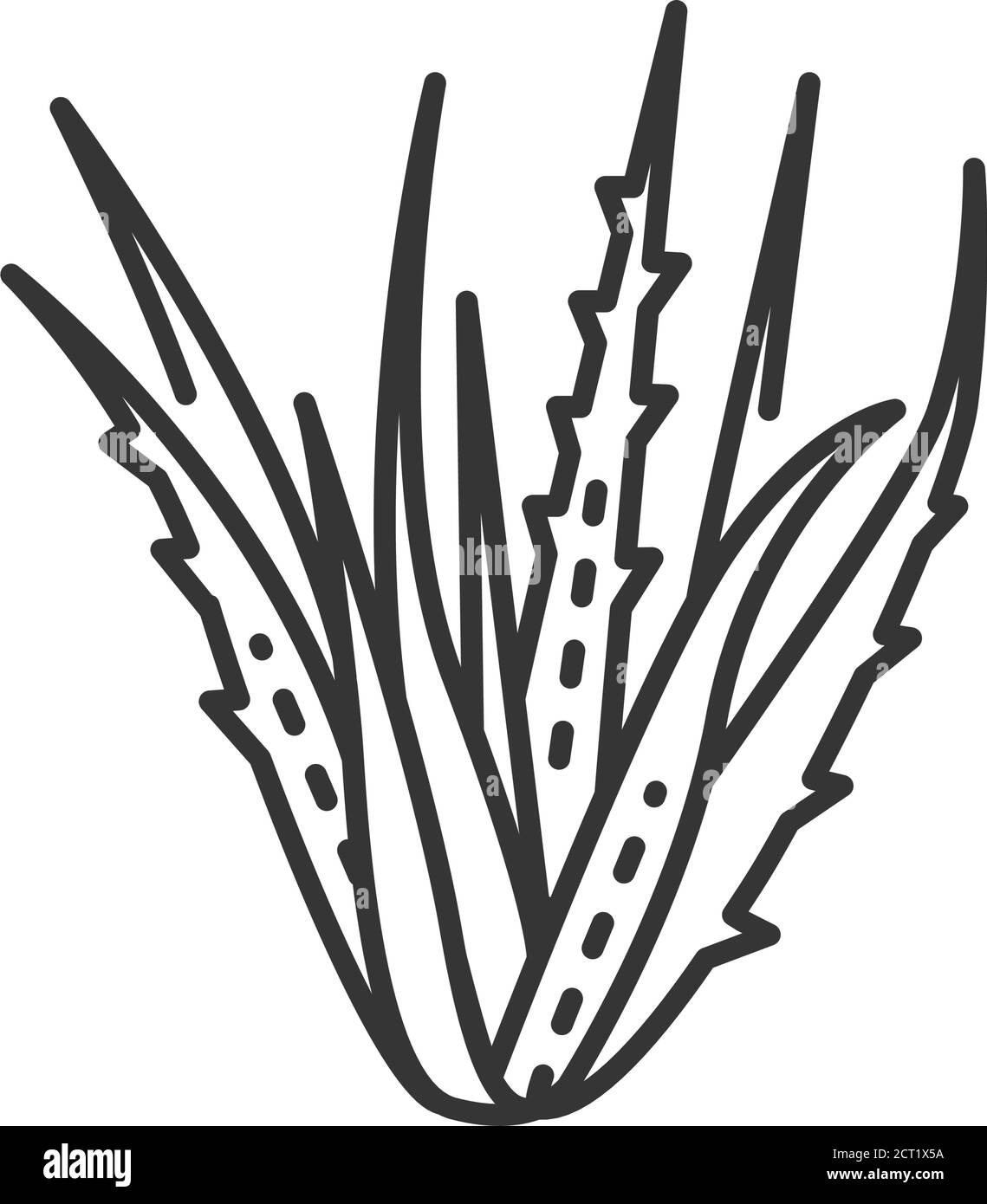 Aloe Pflanze schwarze Linie Symbol. Pflanze, die sowohl intern als auch extern auf Menschen als Volks- oder Alternativmedizin verwendet. Piktogramm für Webseite, mobil Stock Vektor