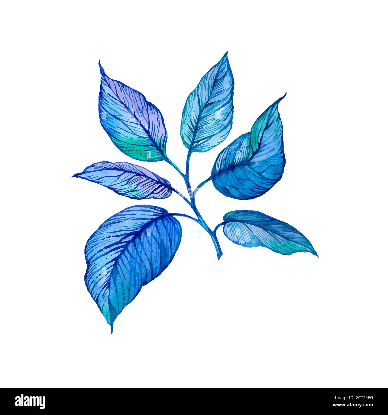 Handgezeichnete Aquarellillustration von blauem Zweig auf weißem Hintergrund, Design-Element für Blumenstrauß, Kranz, Jubiläum, Geburtstagskarte, Grüße, Banner, Flyer, Dekoration oder Einladung. Stockfoto