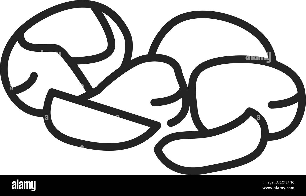 Schwarzes Walnuss-Symbol mit schwarzer Linie. Amerikanische Vielfalt von Walnussbaum. Erzeugt eine wünschenswerte Frucht mit medizinischen Eigenschaften. Beliebte Holzart. Piktogramm Stock Vektor