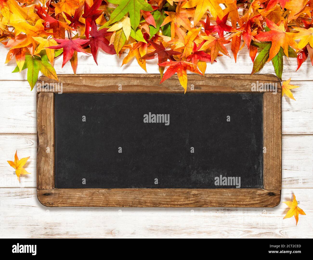 Herbstblätter und Kreidetafel auf hellem Holzhintergrund Stockfoto