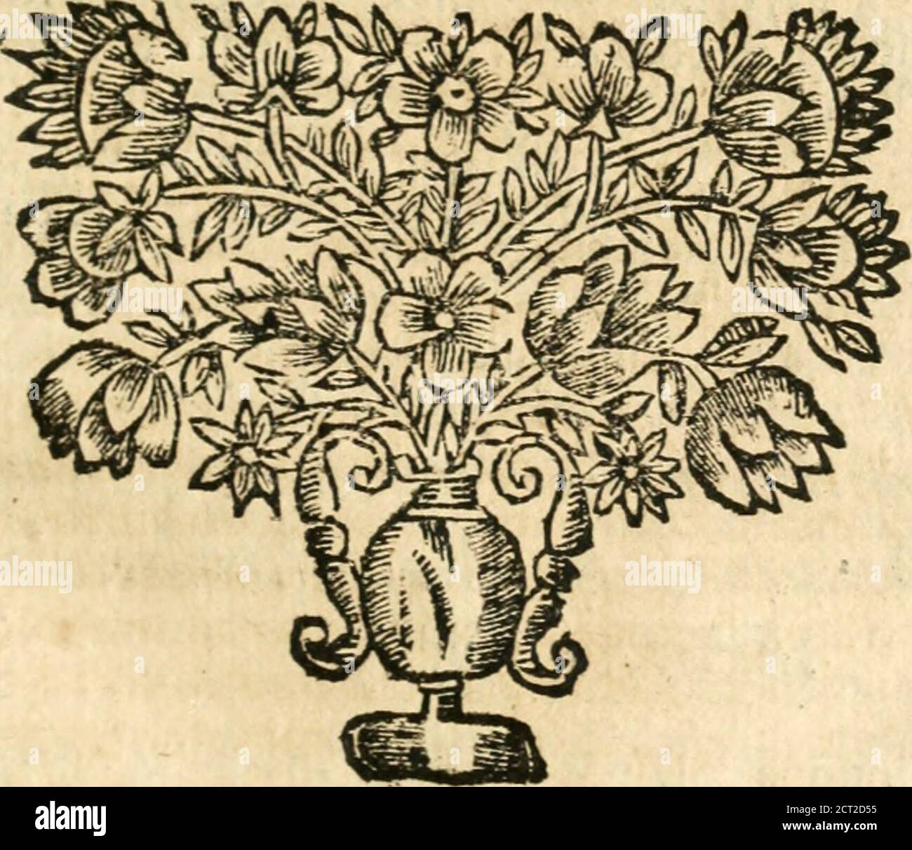 . Idea de vn principe politico christiano : representada en cien empressas . j.íSCrebro ipfíiísfermonefaÜíifides.Tac.Ub. 15.^n.-^^Kfon tíimenfiíie -vfufufufucrh/titrofpicere illapnruo afpeóla kmá^ex^uibus mdgndnmfcpe remm motas omtntnuTdQ^hb.^^jcín^. EC5 Afsí 440 ¿AIFKESSAS A. Stockfoto