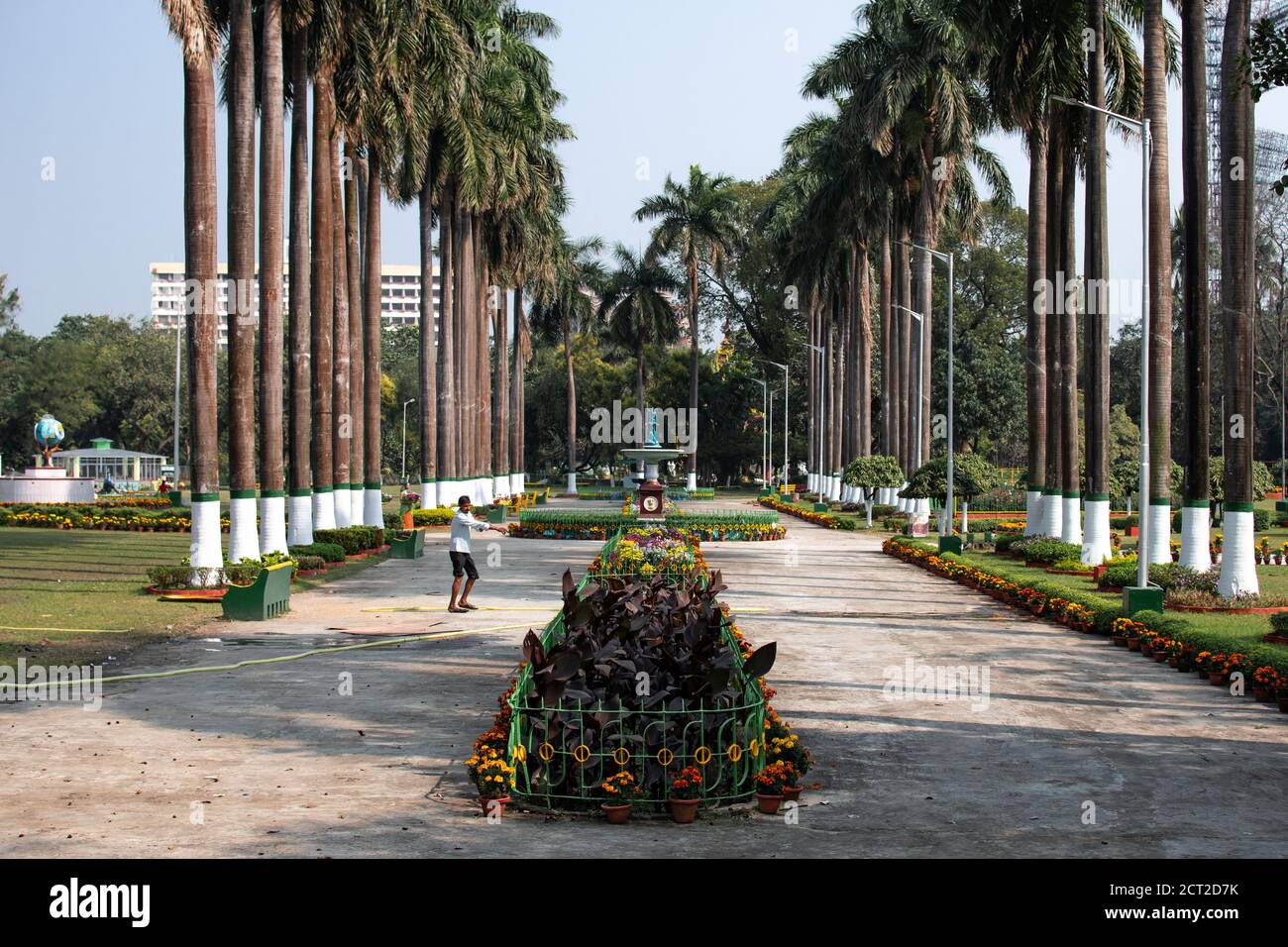 Kolkata, Indien - 1. Februar 2020: Ein nicht identifiziertes Wasser Blume und Pflanzen in einem Garten in der Nähe Raj Bhaval Komplex am 1. Februar 2020 in Kolkata, Indien Stockfoto
