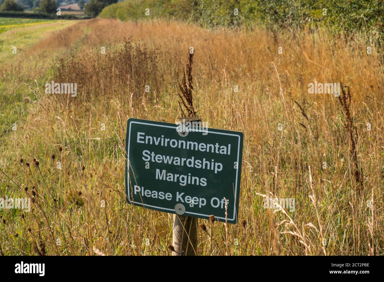 Margen für die Umweltverantwortung, bitte Schild „Halten Sie sich aus“. Norfolk, England, Großbritannien. Stockfoto