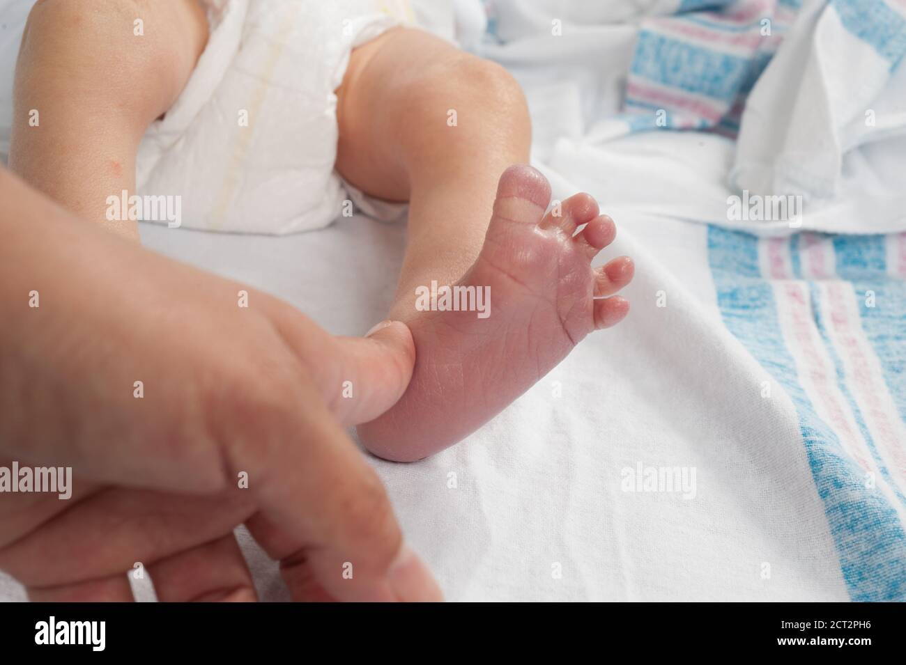 3 Tage alt neugeborenes Baby Junge Nahaufnahme des Neugeborenen Reflex Babinski Reflexzehen trennen sich, wenn die Fußsohle gestreichelt wird Stockfoto