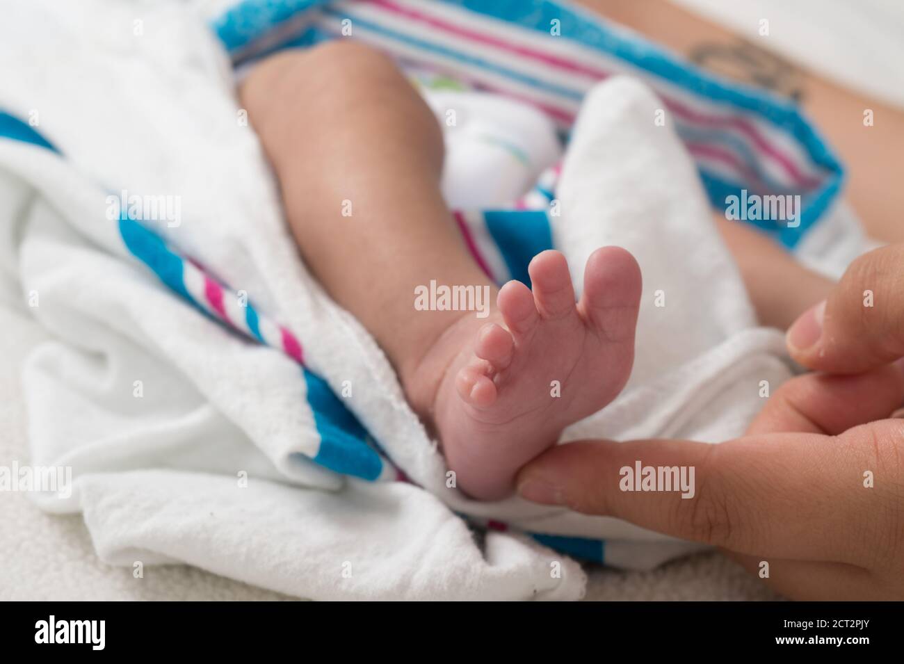 3 Wochen alt neugeborenes Baby Junge Reflex Babinski Zehen trennen Nach der Sohle des Fußes wird gestreichelt Stockfoto