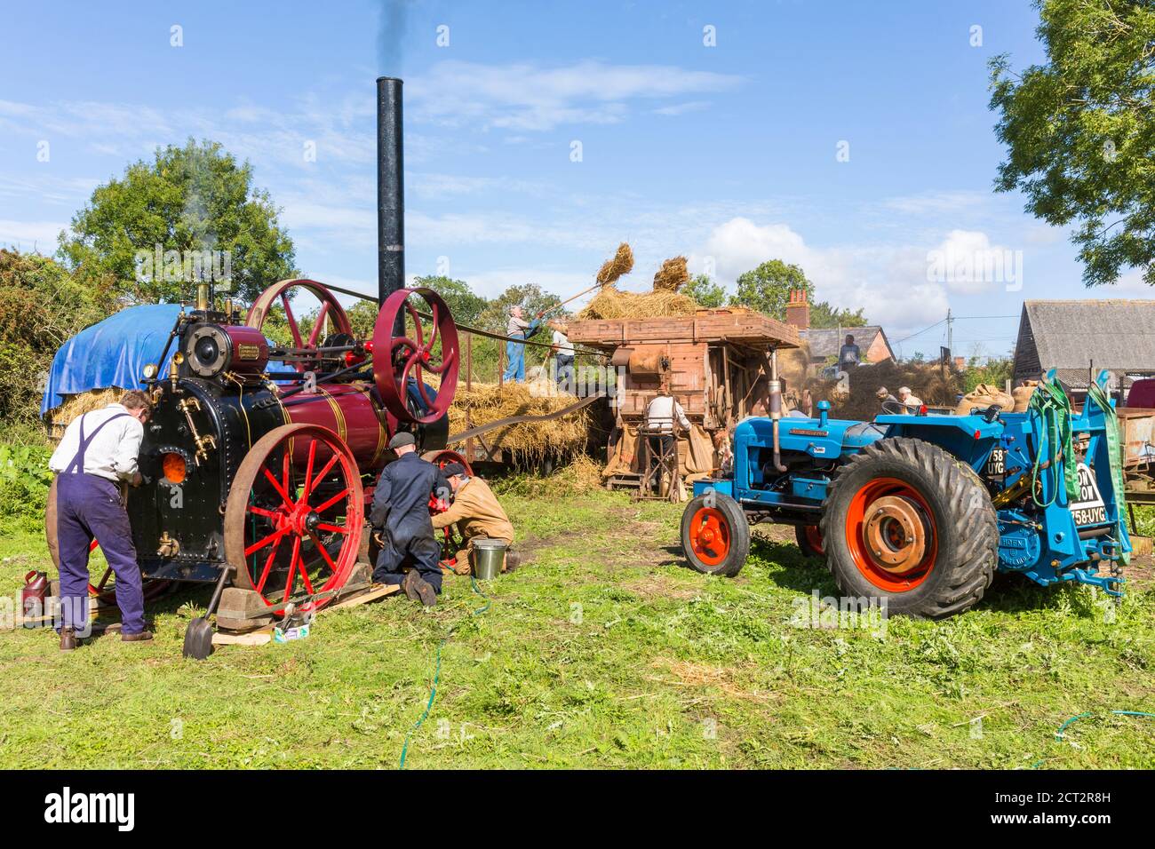 Mit einer traditionellen Dampfmaschine von Ipswich, um Weizen zu dreschen. Suffolk, England, Großbritannien. Stockfoto