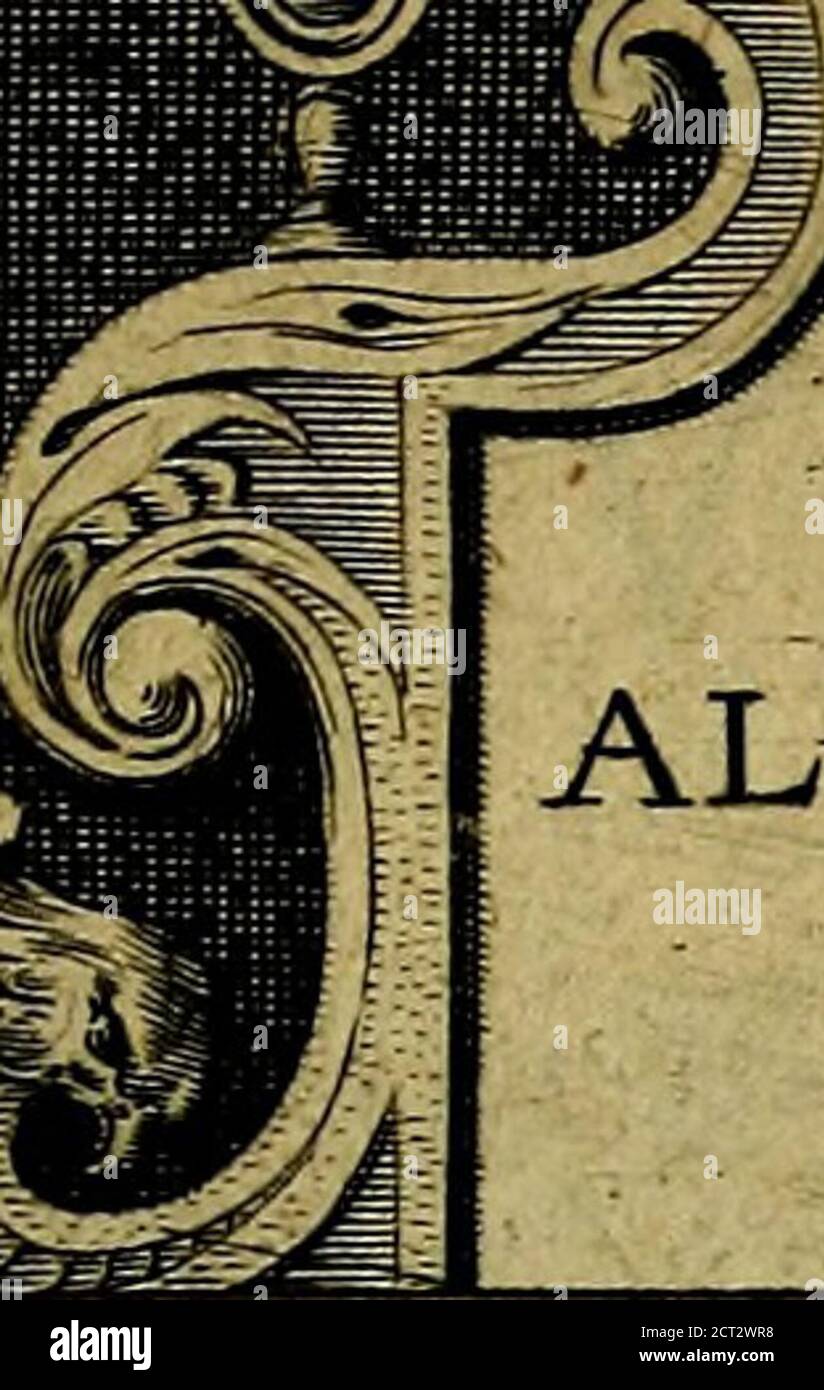 . Dvodecim specvla Devm aliqvando videre desideranti concinnata . DVODECIM SPECVLA^ DEVM ALIQVANDO VIDEREDESIDERANNI CONCINNATA. Stockfoto