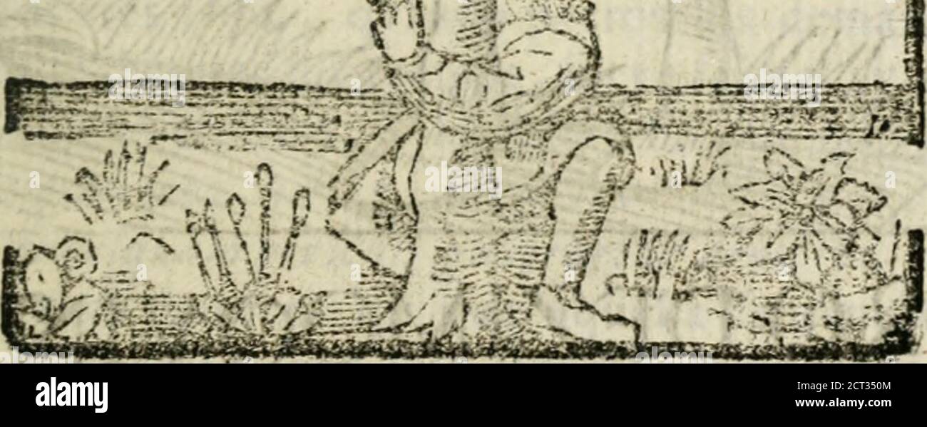. Govierno General, Moral, y politico : hallado en las fieras, y animales sylvestres : sacado de sus naturales virtudes, y propiedades, con particular tabla para sermones varios de tiempo, y de Santos . PRO. 3^0 PROPIEDADES DB EL CAMFLLO. Stockfoto