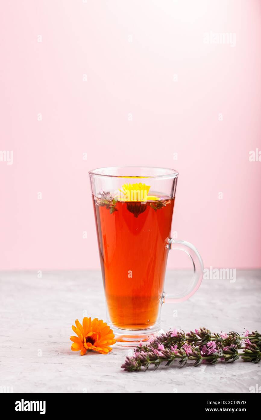 Glas Kräutertee mit Ringelblume und Ysop auf grauem und rosa Hintergrund. Morninig, Frühling, gesundes Getränkekonzept. Seitenansicht, selektiver Fokus, Kopieren Stockfoto
