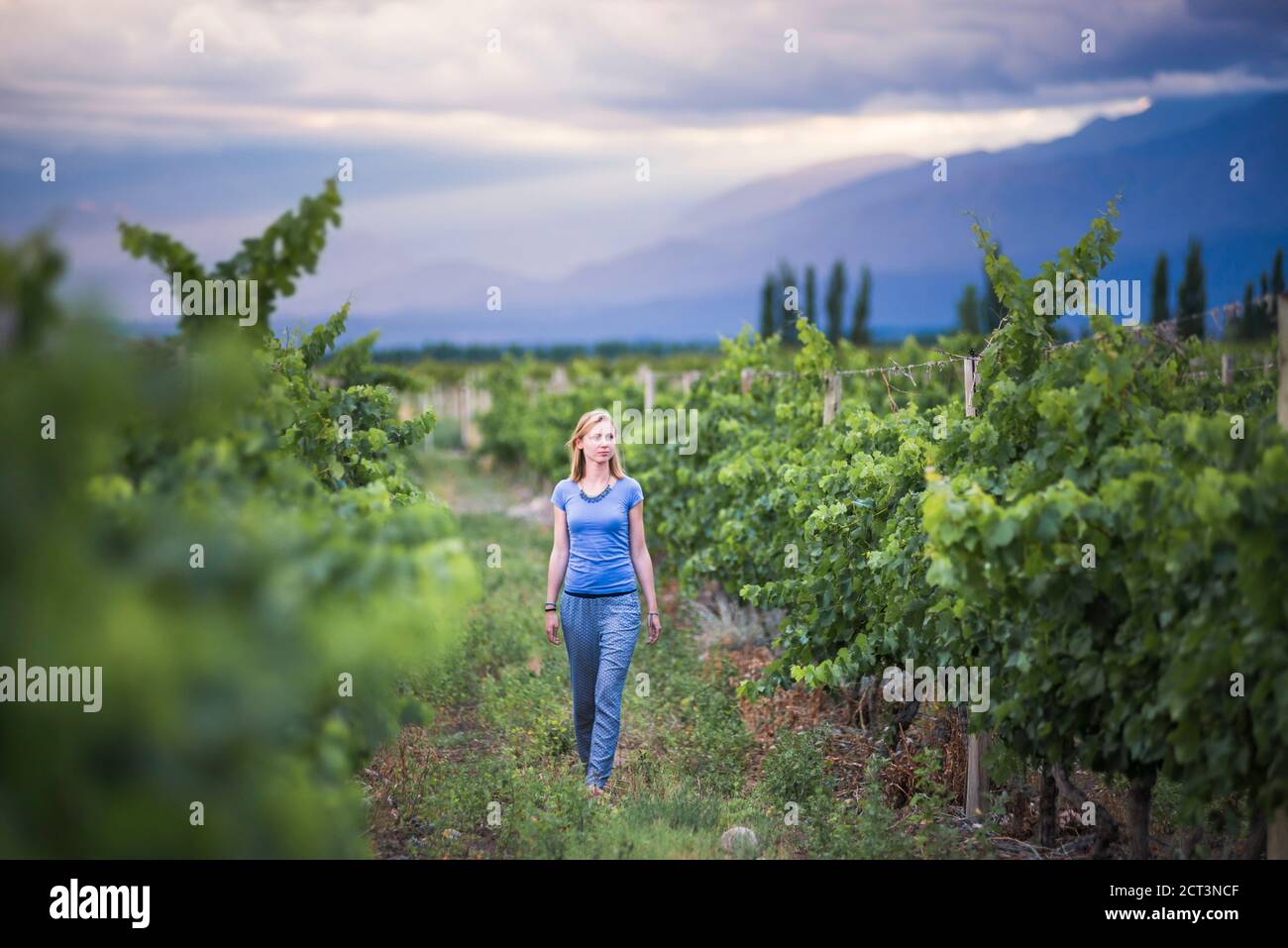 Frau in Weinbergen in den Anden auf Weinprobe Urlaub in einem Weingut in Uco Valley (Valle de Uco), einer Weinregion in der Provinz Mendoza, Argentinien, Südamerika Stockfoto