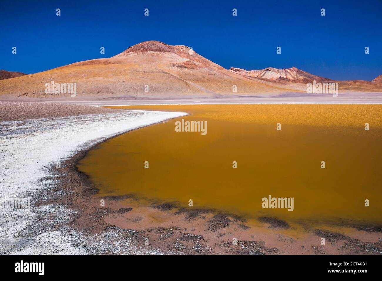 Laguna Hedionda umgeben von Salz im Altiplano von Bolivien, Südamerika Stockfoto