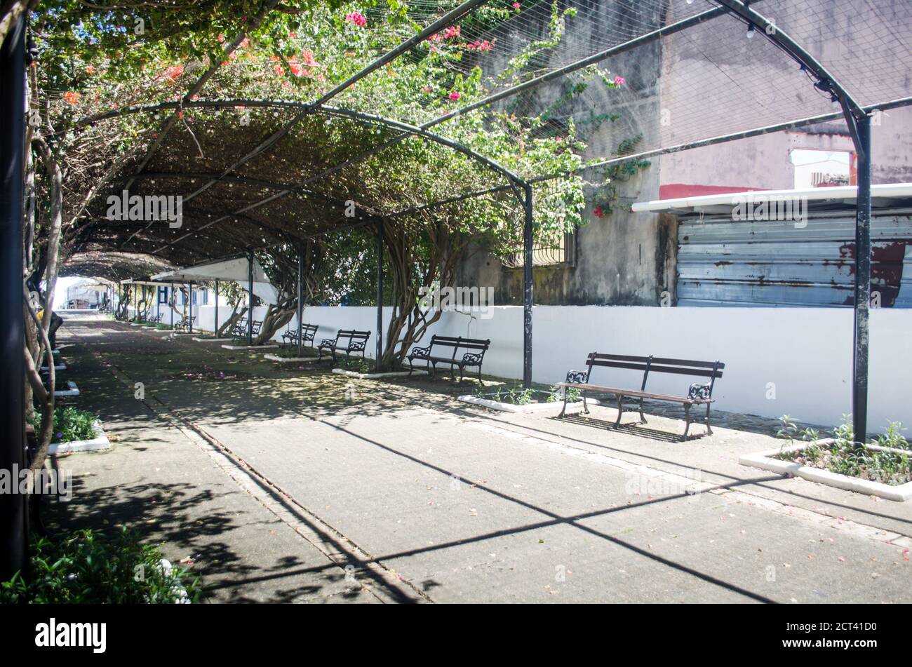 Paseo Esteban Huertas, eine berühmte Promenade in Casco Viejo in der Nähe der Plaza de Francia in Panama City. Es ist eine einsame Straße jetzt während Covid-19 Pandemie Stockfoto