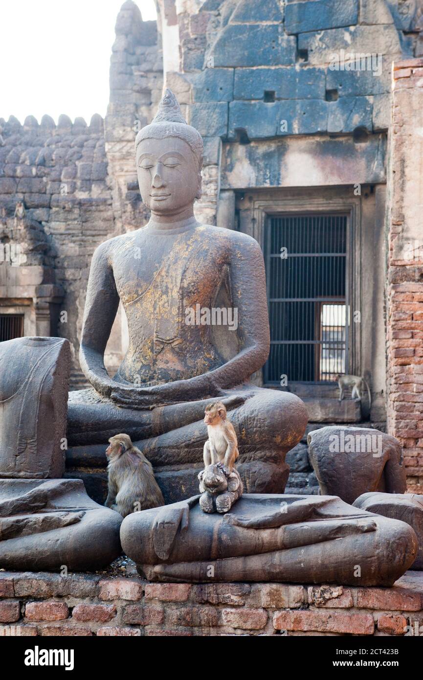 Zwei Affen auf einer Buddha-Statue im Phra Prang Sam Yot Buddhist Temple, Lopburi, Thailand, Südostasien Stockfoto