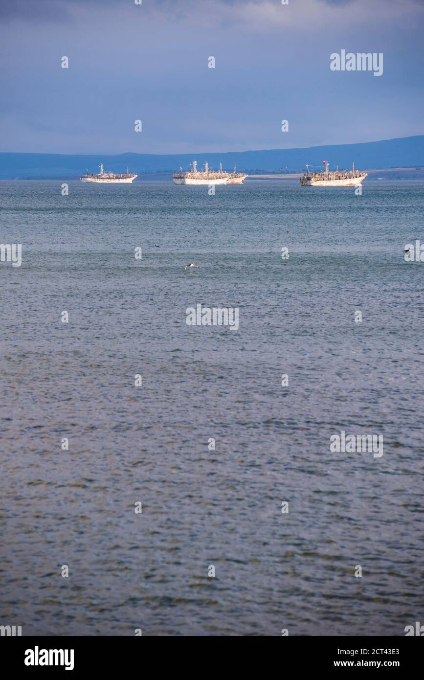 Hafen in Punta Arenas, Magallanes und Antartica Chilena Region, chilenisches Patagonien, Chile, Südamerika Stockfoto