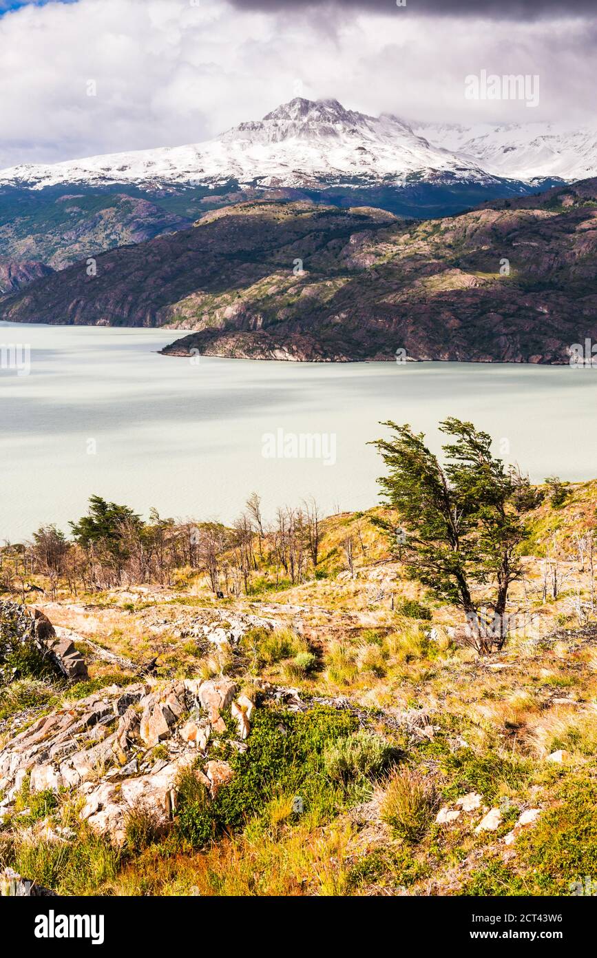 Lake Grey (Lago Grey), Torres del Paine Nationalpark, Patagonien, Chile, Südamerika Stockfoto