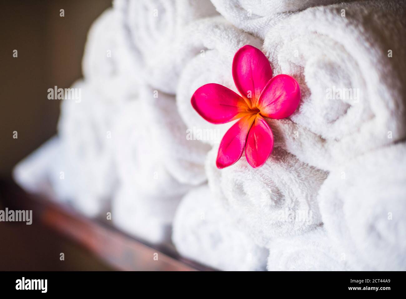 Details von Handtüchern und rosa Blumen in einem luxuriösen Day Spa, ein perfekter Ort zum Entspannen Stockfoto