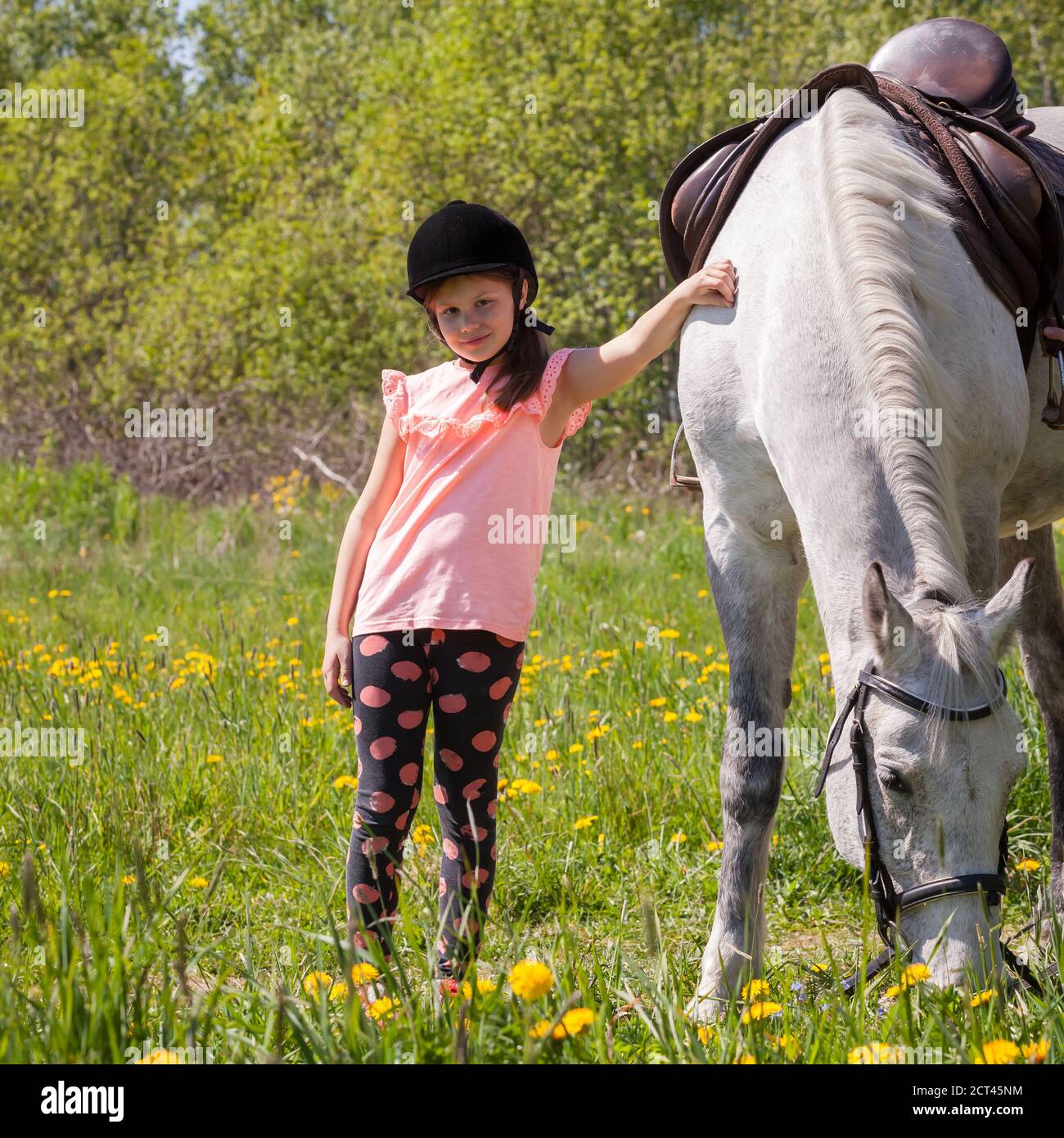 Kleines Mädchen in rosa steht in der Nähe eines weißen Pferdes Sonniger Tag Stockfoto