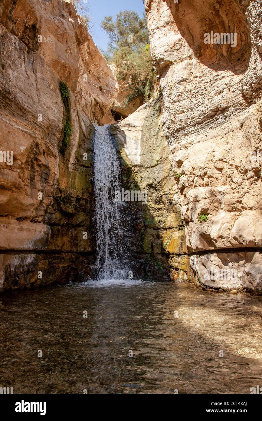 Ein Gedi Nationalpark. Der verborgene Wasserfall im Wadi Arugot [Arugot Stream]. Der Arugot-Strom ist einer der einzigen zwei Ströme im Zentrum des Jud Stockfoto