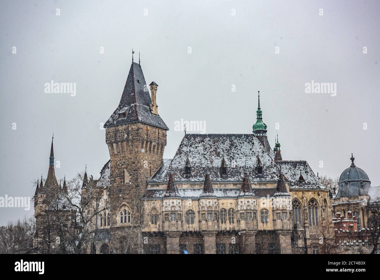 Burg Vajdahunyad, Budapest, Ungarn, Europa Stockfoto