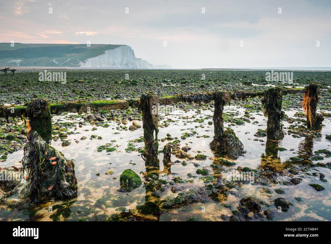 Seven Sisters Cliffs, Cuckmere Haven, Sussex, England, Vereinigtes Königreich, Europa Stockfoto
