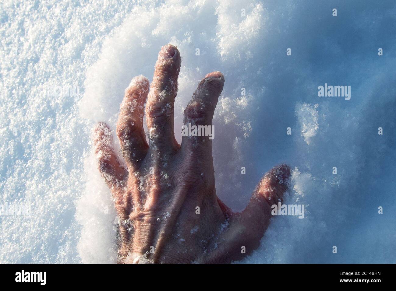 Rufen Sie um Hilfe. Dramatische Hand im Schnee. Ein Mann friert im Winter im Schnee. Nahaufnahme der mit Schnee bedeckten Hand eines älteren Mannes Stockfoto