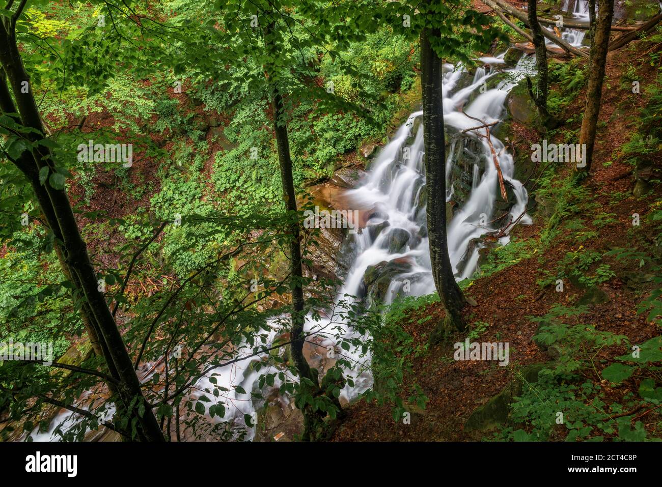 Wasserfall im tiefen Wald. Shipit Wasserfall, Borzhava, Ukraine Stockfoto