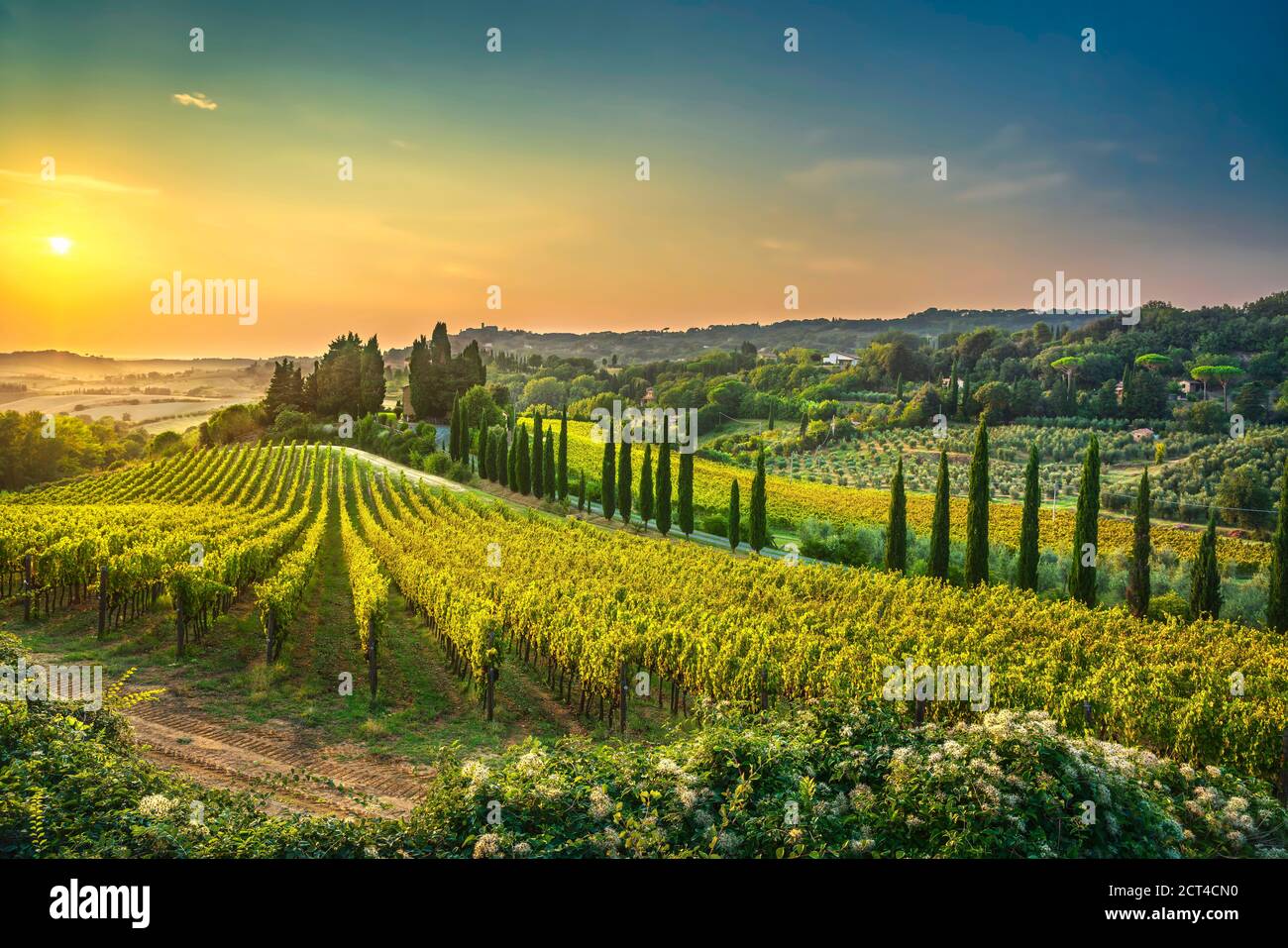 Casale Marittimo Dorf, Weinberge und die Landschaft Landschaft in der Maremma. Pisa Toskana, Italien Europa. Stockfoto