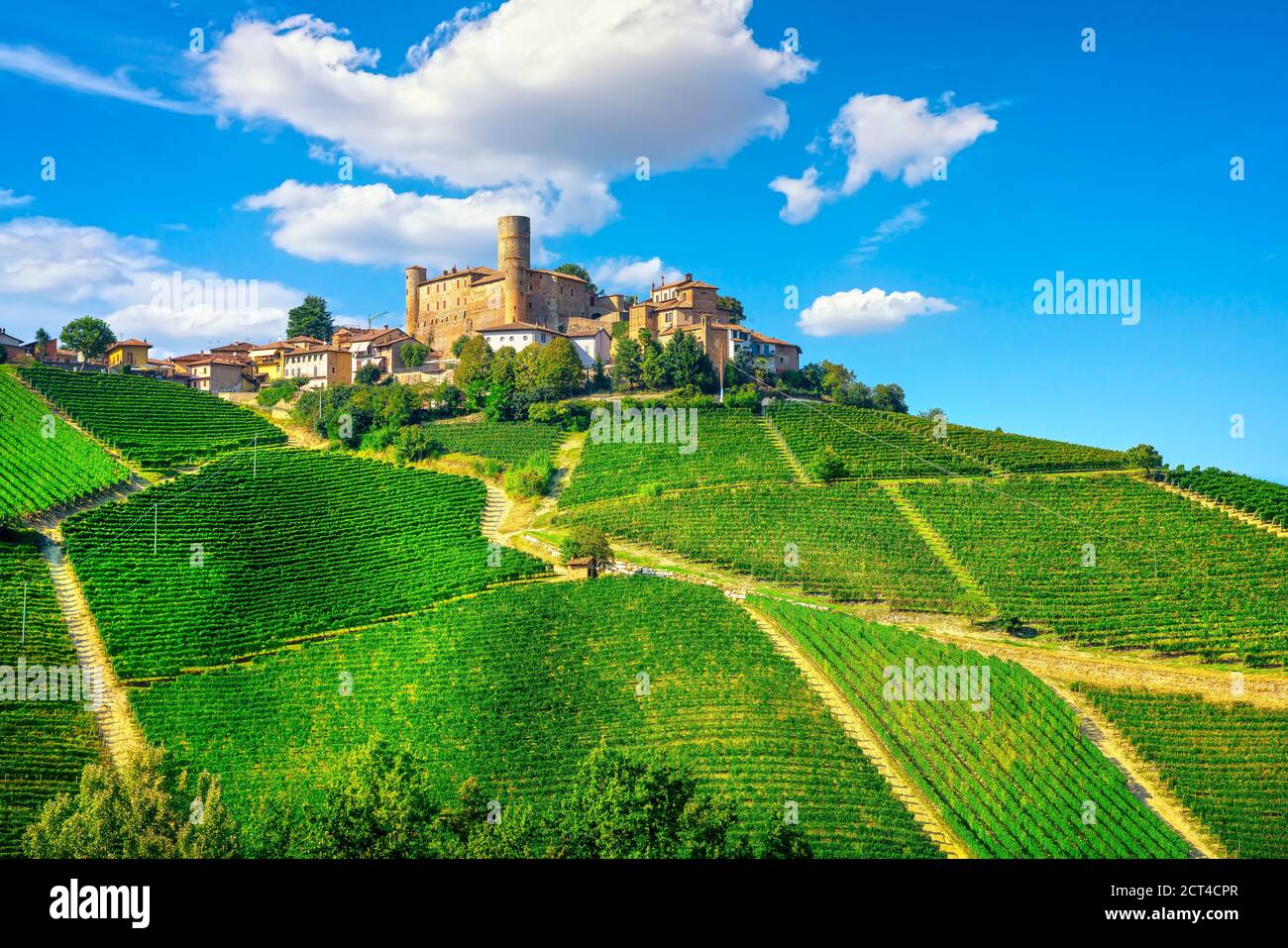 Langhe Weinberge und Castiglione Falletto Dorf, UNESCO-Stätte, Piemont, Norditalien Europa. Stockfoto