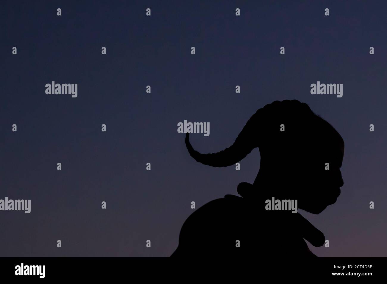 Eine Silhouette eines Himba-Mannes und seiner einzigartigen Haare, Namibia. Stockfoto